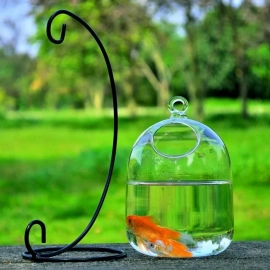 Vase Fishbowl Transparent Hanging Glass Creative Decor Fish Tank for Living Room