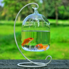 Vase Fishbowl Transparent Hanging Glass Creative Decor Fish Tank for Living Room