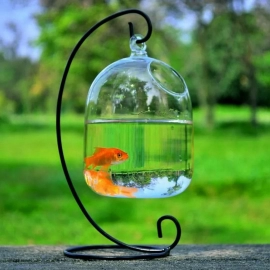 Vase Fishbowl Transparent Hanging Glass Creative Decor Fish Tank for Living Room